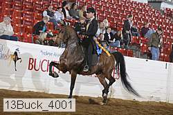13buck_4001 proof