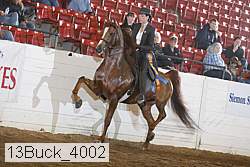13buck_4002 proof