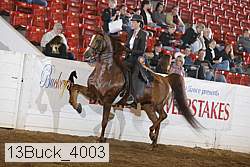 13buck_4003 proof