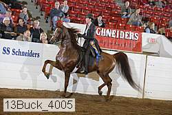 13buck_4005 proof