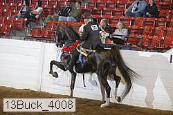 13buck_4008 proof