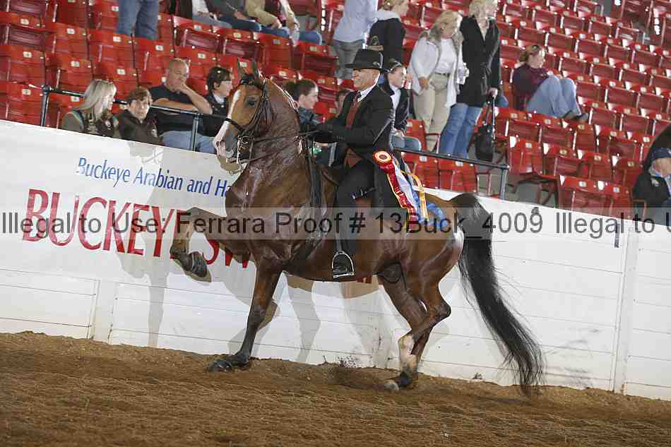 Proof 13buck_4009