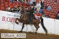 13buck_4009 proof