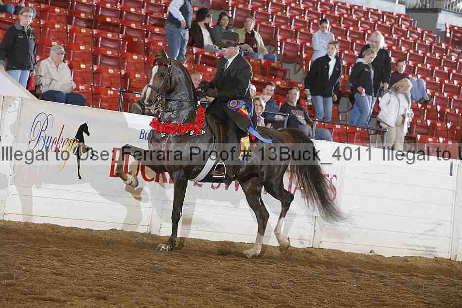 Proof 13buck_4011