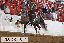 13buck_4011 proof