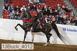 13buck_4012 proof