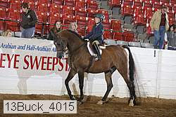 13buck_4015 proof