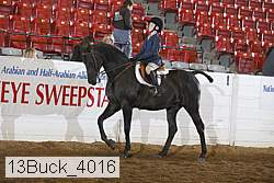 13buck_4016 proof