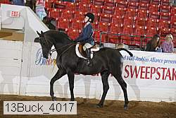 13buck_4017 proof