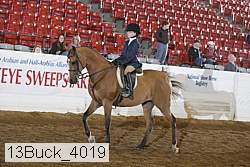 13buck_4019 proof