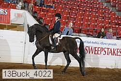 13buck_4022 proof