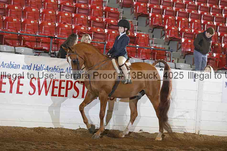 Proof 13buck_4025