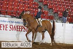 13buck_4025 proof