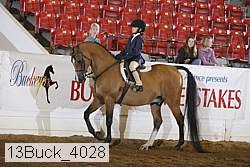 13buck_4028 proof