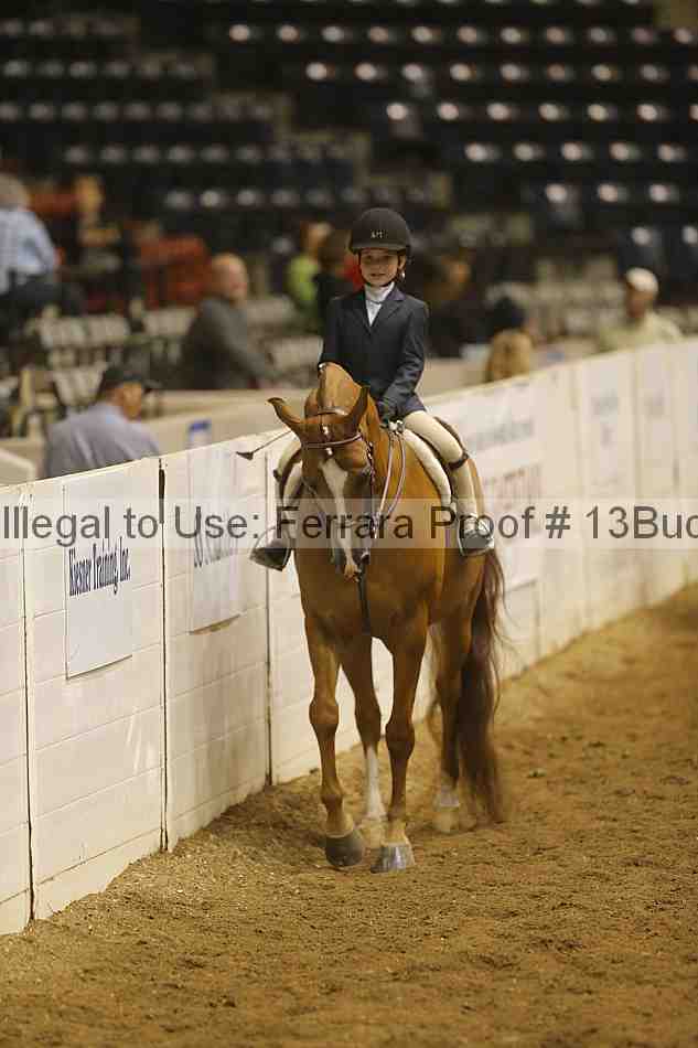 Proof 13buck_4029