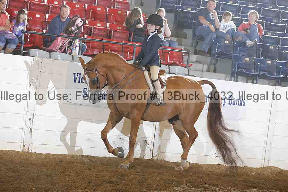 Proof 13buck_4032