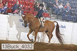 13buck_4032 proof