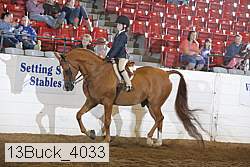 13buck_4033 proof