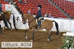 13buck_4034 proof