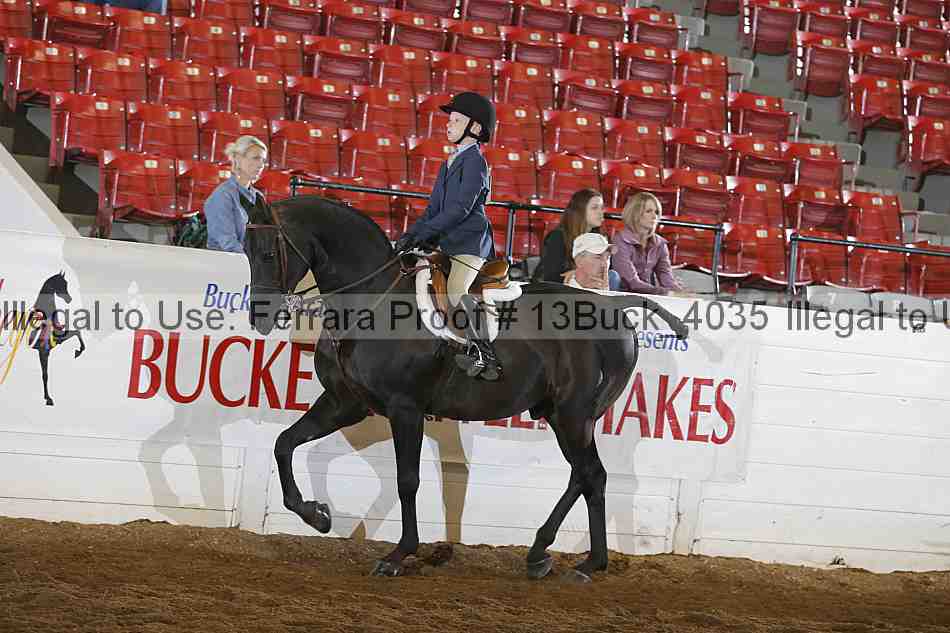 Proof 13buck_4035