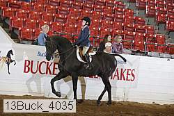 13buck_4035 proof