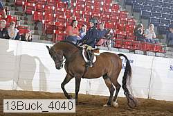 13buck_4040 proof
