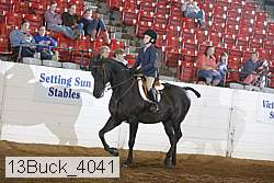 13buck_4041 proof