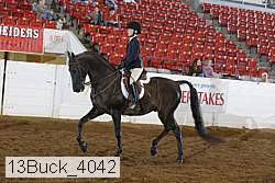 13buck_4042 proof