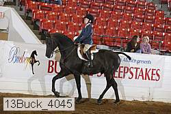 13buck_4045 proof