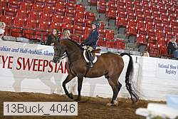 13buck_4046 proof