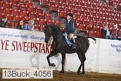 13buck_4056 proof