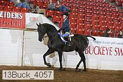 13buck_4057 proof