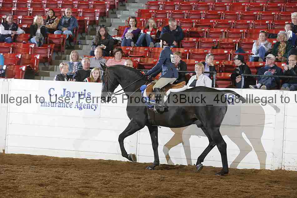 Proof 13buck_4058