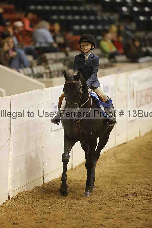 Proof 13buck_4060
