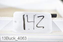13buck_4063 proof