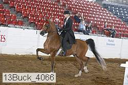13buck_4066 proof