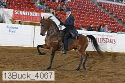13buck_4067 proof