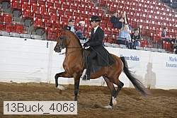 13buck_4068 proof