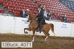 13buck_4071 proof
