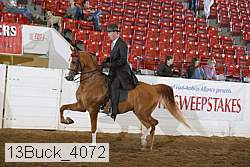 13buck_4072 proof