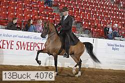 13buck_4076 proof