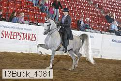 13buck_4081 proof