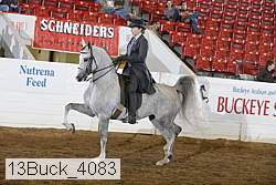 13buck_4083 proof