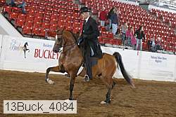 13buck_4084 proof