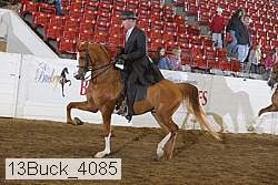 13buck_4085 proof