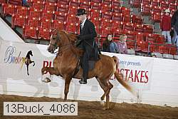 13buck_4086 proof