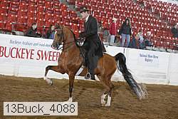 13buck_4088 proof