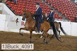 13buck_4091 proof