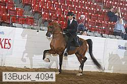 13buck_4094 proof