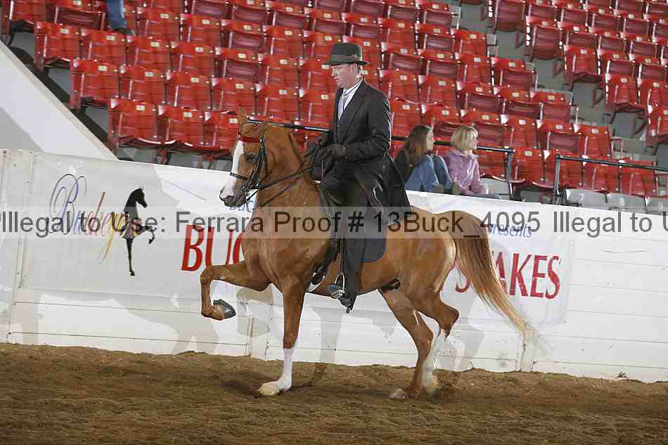 Proof 13buck_4095
